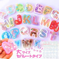【楽天スーパーSALE★1380円→999円】大サイズ セパレートタイプ レジン シリコンモールド アルファベッ…