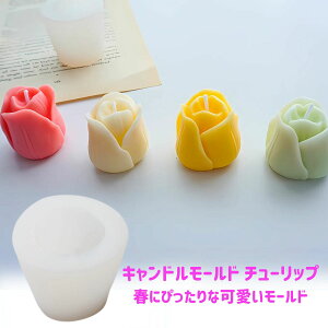 Lh [h `[bv ԃLh VR[h Lh ^ \CbNX ptBbNX A}Lh A}Xg[ ΍p W nhCh Nt