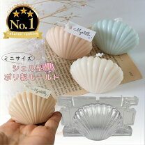 楽天市場】シェル 貝殻の通販