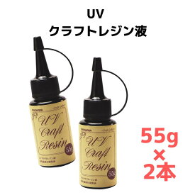 清原 UVクラフトレジン液 55g 2本セット KIYOHARA