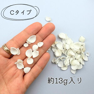 Lk p[c VF L ~jTCY VRf W lC p[c n[oE Lh  C`[t V[VF i`VF nhCh Ntgf