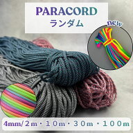 パラコード 4mm ランダム 5色 選べる長さ 2m 10m 30m 100m パラコード 紐 スマホショルダー ブレスレット…