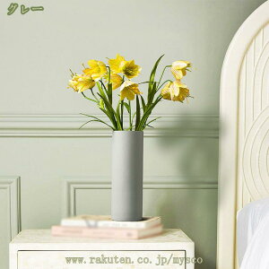 500~OFFN[| т  傫 ֑} 25cm AWg k CeA O[ hCt[ OC t[x[X Z~bNԕr  ԕr Vv ̌^ 傫