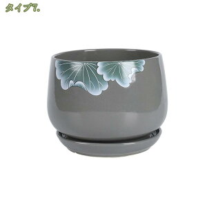 500~OFFN[| eRb^ A T{e ~͔ Vv ʋC ꌊt t@bV ~` gCt  CeA   㑕i IV | A  T{e