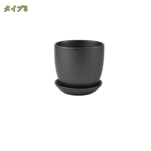 300~OFFN[| eRb^ A T{e ~͔ Vv ʋC ꌊt t@bV ~` gCt  CeA   㑕i IV | A  T{e