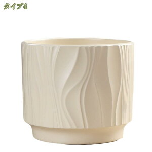 300~OFFN[|  Aؔ Z~bN t k fB |pi K[f v[g gČ^ ɐ Vbv A Mtg Aؔ Vv [