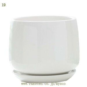 v^[ Aؔ  A A}u A[gXg[ Rei Eh  ͔| v[g Mtg ̓ ʔ  킢 K[fjO r h~ Aؔ  y 