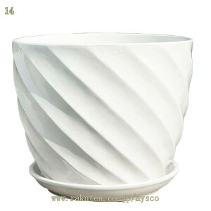 300~OFFN[| v^[ Aؔ  A A}u A[gXg[ Rei Eh  ͔| v[g Mtg ̓ ʔ  킢 K[fjO r h~ A