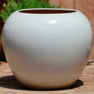 777~OFFN[| Aؔ v^[ AeB[N w [ ꌊL OAؔ K[f|bg | 뉀̑ n[u AJo[ w̍Aؔ  ȐAؔ v