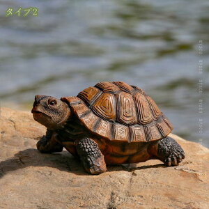 500~OFFN[| u CeA J T A  | u I[ig K[fI[ig  CeAG 낢 낪ɂ₩ ̒u  K[f