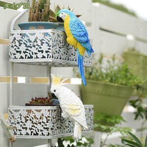 300~OFFN[|  u K[fjOG AȃCR Op ̒u W  fR[V | ^ u i CeA  ̒u Y