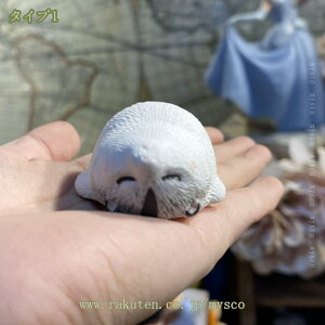 300~OFFN[| ̒u   K[fjOG ʔ K[fjO ~j`A u K[f G  uNtg AeB[N i`  ͋CAbv  Aj