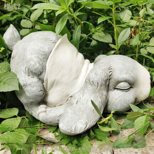 K[fI[ig  K[fjO u    IuWF 傫  CeA ETM̒u K[fjOG K[fIuWF k 킢   Ԓd 