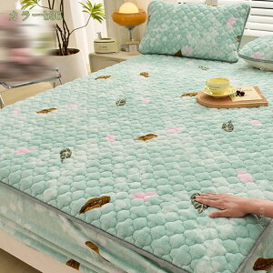 300~OFFN[| xbhpbh ̌^ {bNXV[c ChLO H~p ɒg tl }CNt@Co[ ȓ zM ~pbh SS }`30cm xbhpbh RہE