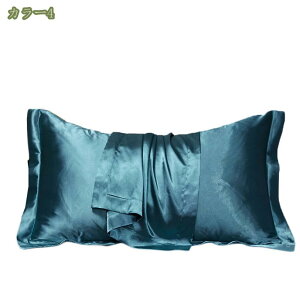 VN Jo[ VN Jo[ Ж  48×74cm VNJo[ VN100 VN܂Jo[ z 􂦂   ⊴   s[P[X VN ێ e 