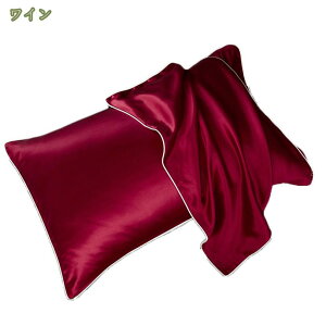 1000~OFFN[| VN Jo[Ж VN100 48×74cm 􂦂   ⊴   s[P[X VN  ێ e sP[X ܂Jo[   ێ RۖhL q