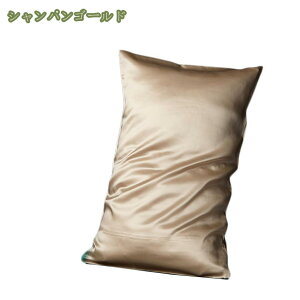 VNJo[ 100%\   ʃ^Cv ̓ ⊴ ėp 炩ȍގ sP[X  1 Vo[ 50x75cmp h_j hL R ÓdCh~ ܂Jo[ n ⊴ ΍ Q