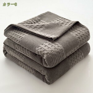 K[[Pbg 100 y 􂦂 | ӂ {[ uPbg Ђ|  ^ ɂ₳ ^IPbg ӂӂ Ԃ l q  Q ѕz ėp 