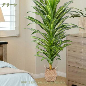  lHϗtA tFCNO[ ϗt { CeAA   ItBX ^ A \ec ͂Ȃ L R IV j JXj Mtg 蕨