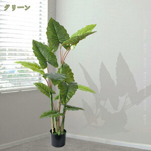 1000~OFFN[|  lHϗtA tFCNO[ ϗt { CeAA   ItBX ^ A PqtA ͂Ȃ L R IV j J