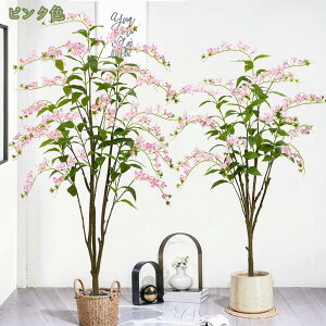 tFCNO[ ϗtA lHϗtA  CeA  sv A  j qA  L R t } Ύ lHϗt A   rO  