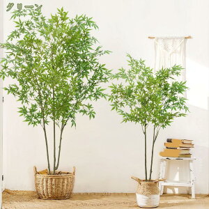 tFCNO[ ϗtA lHϗtA  CeA  sv A  j   L R t } Ύ lHϗt A   rO  ̊ϗt