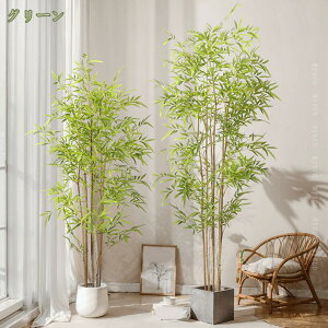 500~OFFN[| lHϗtA tFCNO[ ϗtA | Vv  A Q̐SzȂ sv t t S CeAO[  j a    