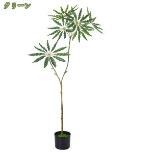 777~OFFN[| ϗtA T{e tFCNO[ lHϗtA  L R IV sv sv { CeA lH  킢 lHA A 