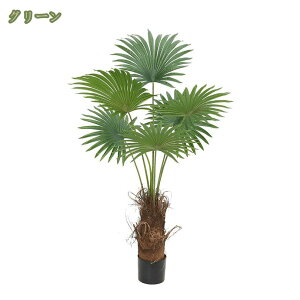 777~OFFN[| tFCNO[ lHϗtA ^ L  CeA  j sv A ϗtA tFCN ` lH   L R j 蕨  