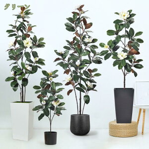 ϗtA @ tFCNO[ lHϗtA  L R IV Ύ QSzȂ sv sv { CeA lH  킢 lHA A 