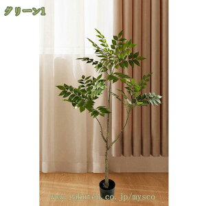 1000~OFFN[| lHϗtA    I[u sv CeAO[ ϗtA  ϗt ItBX   rO  j  蕨 v[g {