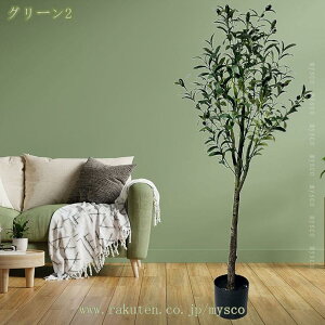 1000~OFFN[| lHϗtA    I[u sv CeAO[ ϗtA  ϗt ItBX   rO  j  蕨 v[g {