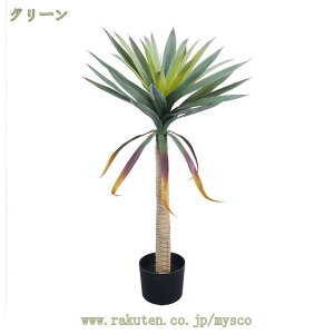 777~OFFN[| lHϗtA tFCNO[ ϗtA PqtA CeAO[  A sv CeA  ItBX  z  j a   