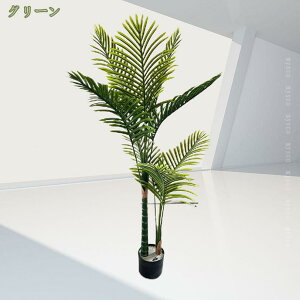 1620~OFFN[| lHϗtA  [jE sv CeAO[ ϗtA  ϗt ItBX   rO  j  蕨 v[g { 