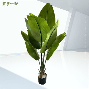 500~OFFN[| tFCNO[ OlOlȂ ^rrgmL  lH ϗtA    rO  p S CeA  Q  Aؔ Vv It