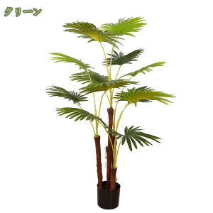 rE ϗtA  tFCNO[ rO 傫 { lHϗtA ϗt   z[ x_ p ȒP sv Q̐SzȂ X Gg