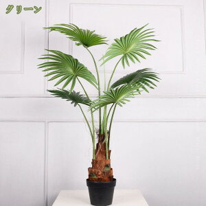 rE Ύ tFCNO[ ^ A ϗtA V lHϗA lHϗt Vv A 썑  lHA Q쏜sv sv  CeA  rO 