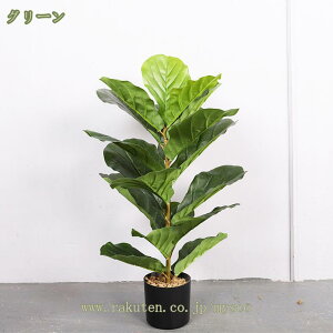 pL Ύ tFCNO[ ^ A ϗtA V lHϗA lHϗt Vv A 썑  lHA Q쏜sv sv  CeA  rO 