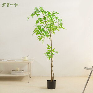 1000~OFFN[|  tFCNO[    rO  t t ou[ A ^ lHϗtA 킢 C~e[VO[ A[g   CeA a