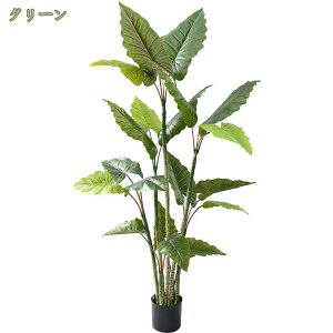 1000~OFFN[| ϗtA Ύ tFCNO[ CeA lHϗtA ϗA  bȂ sv ͂Ȃ QȂ z[  Lb` ItBX  z