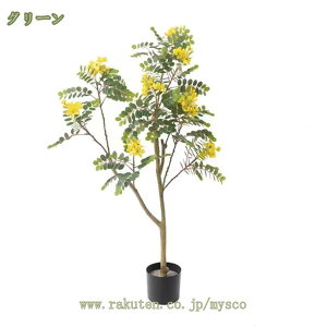 tFCNO[ CeAO[ lHϗtA Ŏ ^  CeA  O tFCNA sv ͂Ȃ Q̐SzȂ A ܂肽 傫   