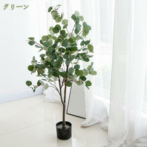 1000~OFFN[| tFCNO[ CeAO[ lHϗtA pL ^  CeA  O tFCNA sv ͂Ȃ Q̐SzȂ A ܂肽 傫 