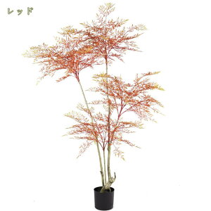 ou[ ϗtA  tFCNO[ rO 傫 { lHϗtA ϗt   z[ x_ p ȒP sv Q̐SzȂ X Gg