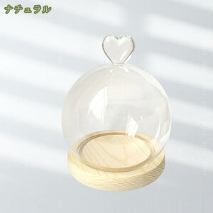 300~OFFN[| KXh[  ho ANZT[ RNV ԑ tBMA KXP[X KXJo[ fXNgbv fBXvC  fBXvCP[X 