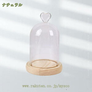 500~OFFN[| KXh[ n[g^ nh W fBXvCP[X  ANZT[ P[L tBMA H|iΉ KXJo[ ho  h[ ` CeA 