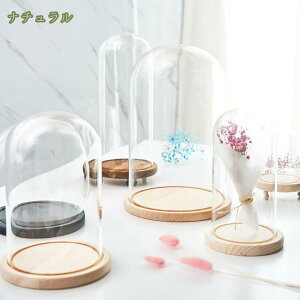 300~OFFN[| KXh[ 傫 ^ RNV tBMA ~jԑ ho ی fBXvCP[X KXJo[ fXNgbv fBXvC ̏ `P[X 