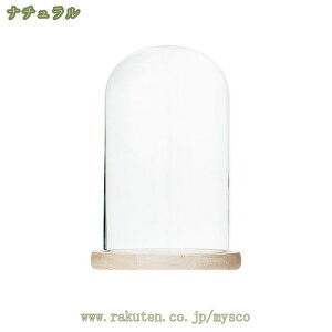 500~OFFN[| KXh[ ho W fBXvCP[X  WG[ ANZT[ P[L tBMA H|iΉ KXJo[ ho  ` CeA h[^ [P