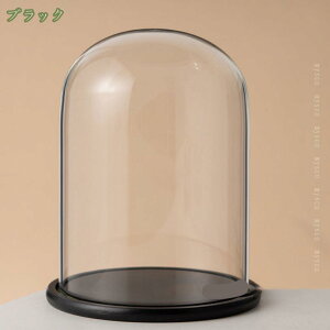 500~OFFN[| KXh[ 傫 tBMA WG[ RNV vU[uht[ ~ ho KXJo[ قh~ NAP[X ۊ XܓW iW WP[X fB