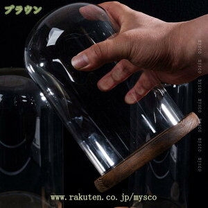 300~OFFN[| EbhKXh[ ubN KXh[ Wp fBXvCP[X  ANZT[ P[L tBMA H|iΉ KXJo[ ho  CeA h[