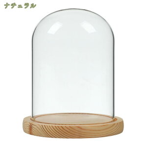 500~OFFN[| KXh[ h[ ؐx[Xt _Chgbp[t 㕔 tBMA RNVl` Jo[ hoJo[ قh~P[X NAP[X u f